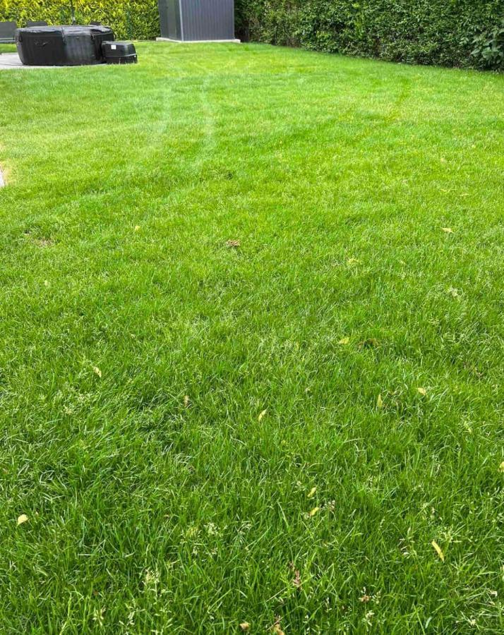 הוילה ברלין Haushalfte Mit Garten, Kamin, Grill & Whirlpool Nahe Ber מראה חיצוני תמונה